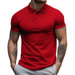 Heren Slim Fit Polo – Casual, Geschikt voor Dagelijks Gebruik, Korte Mouwen